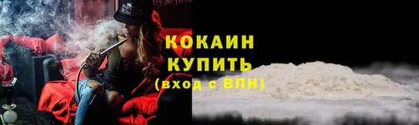 крисы Белокуриха