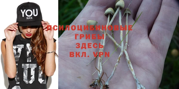 гидра Беломорск